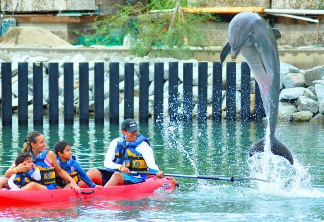 Kayaks familiares